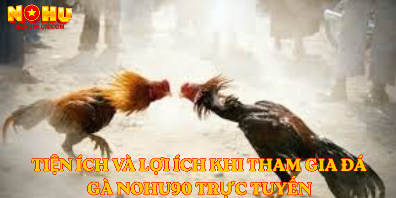 Tiện ích và lợi ích khi tham gia đá gà nohu90 trực tuyến