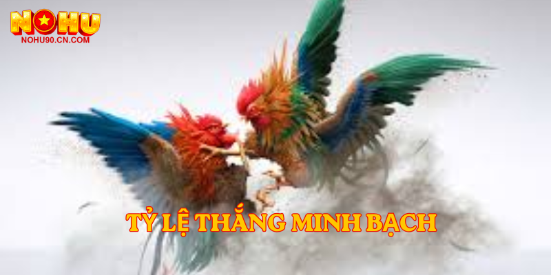 Tỷ lệ thắng minh bạch